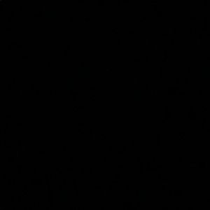 Meet your Posher, Jesse